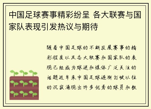 中国足球赛事精彩纷呈 各大联赛与国家队表现引发热议与期待