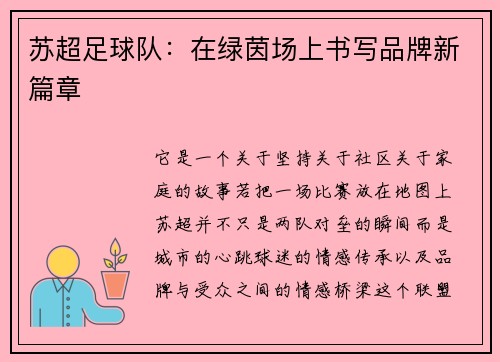苏超足球队：在绿茵场上书写品牌新篇章