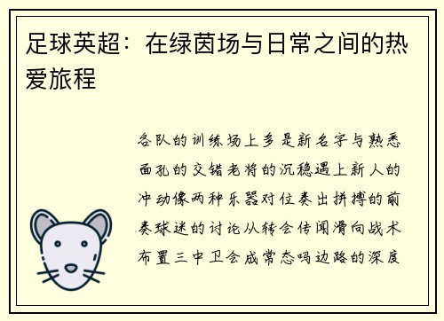 足球英超：在绿茵场与日常之间的热爱旅程